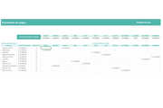 Planilla de Excel para Previsiones de Pagos
