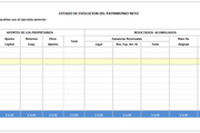Planilla de Excel de Estado de Evolución Patrimonial